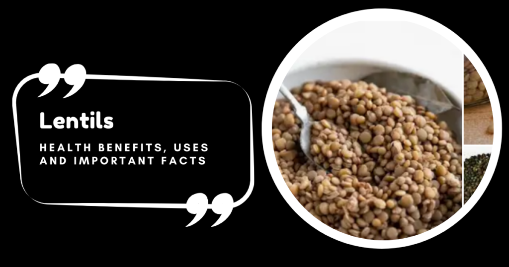 Lentils – Health Benefits, Uses, and Important Facts