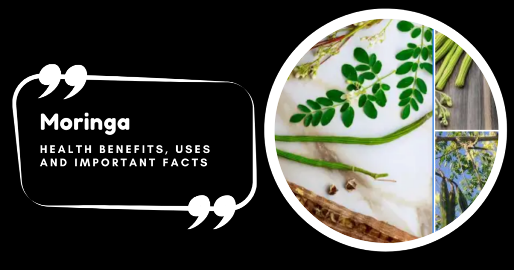 Moringa - Health Benefits, Uses and Important Facts