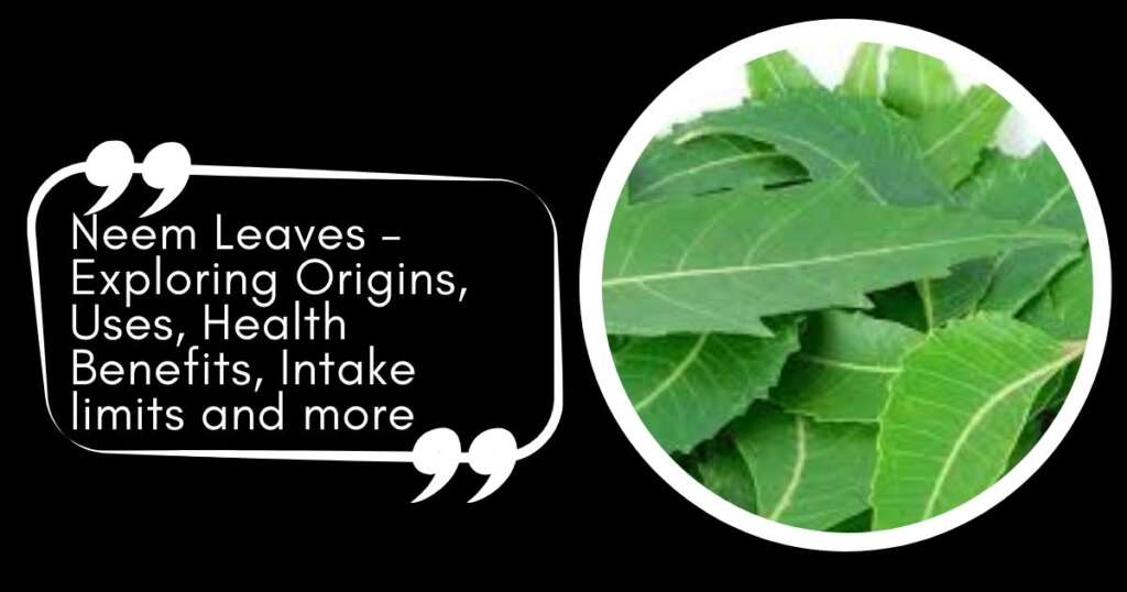 Neem Leaves – Exploring Origins, Uses, Health Benefits, Intake limits and more